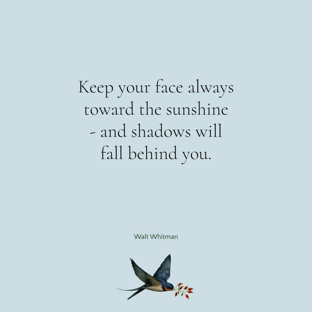 Facing the Sunshine this Winter Solstice