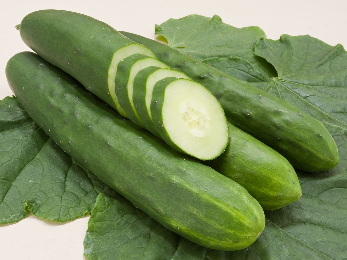 Cucumber Seeds