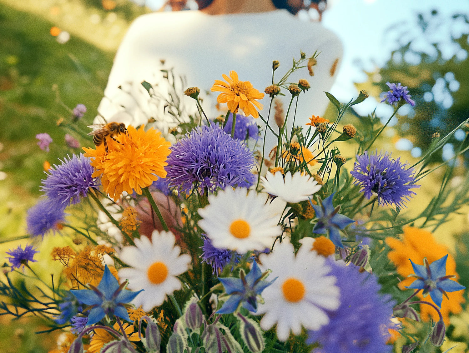 Bouquet Heroes: Our Long-Lasting Cut Flowers