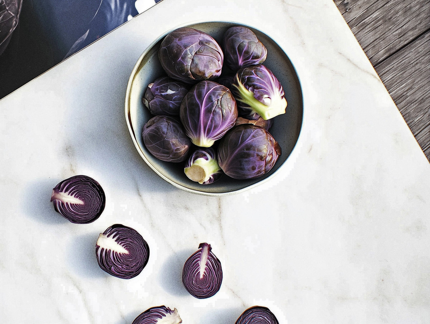 Something Different: Rare and Unusual Plants