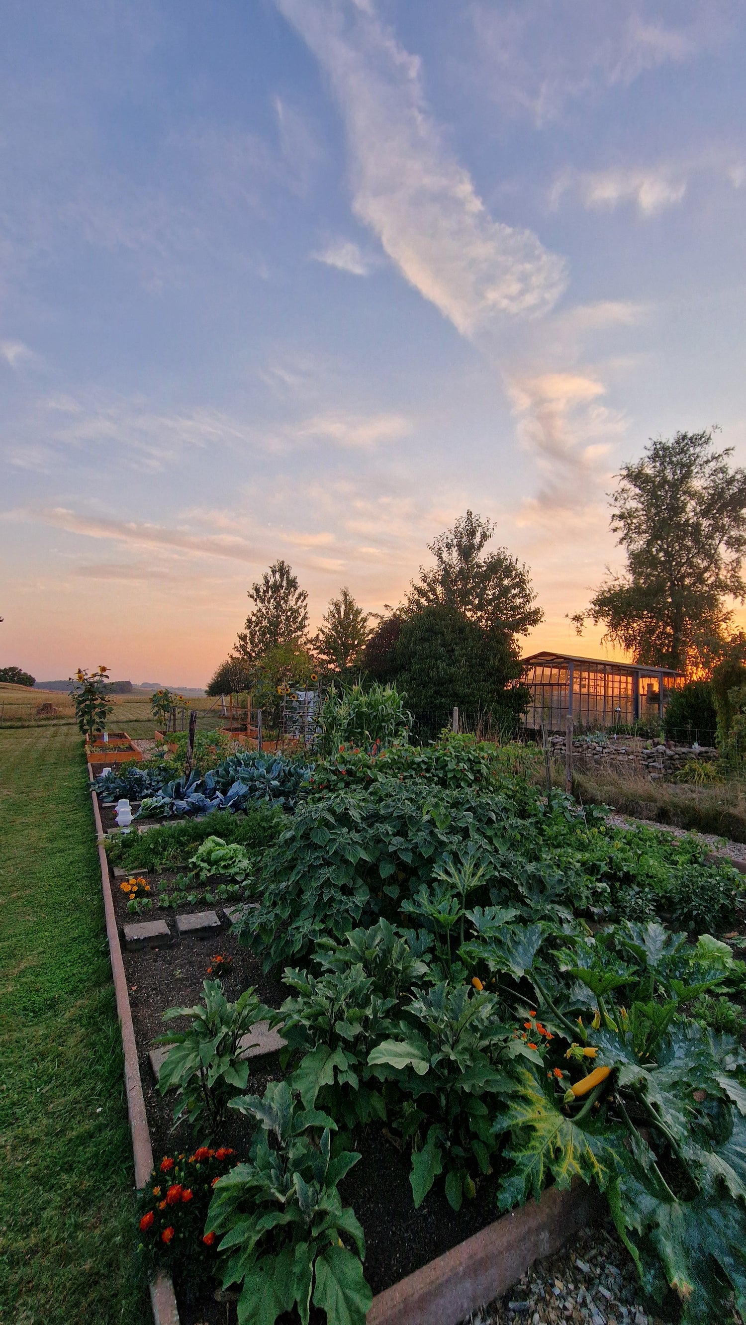 Bio-Saatgut-Set: 20 Lieblingssorten von Melli aus dem Garten