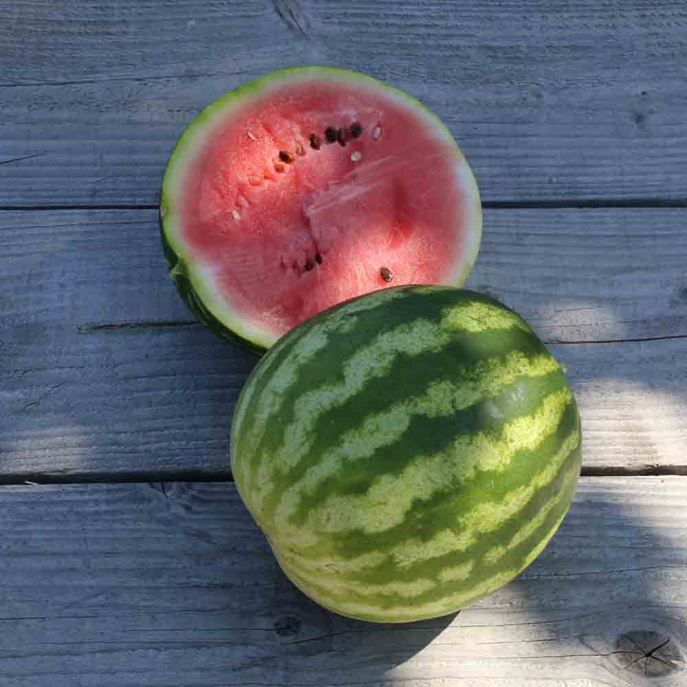 Watermelon 'Di Bagnacavallo’