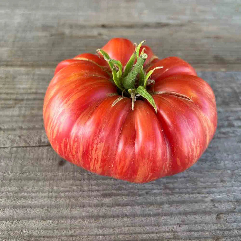 Tomate 'Pink Jazz'
