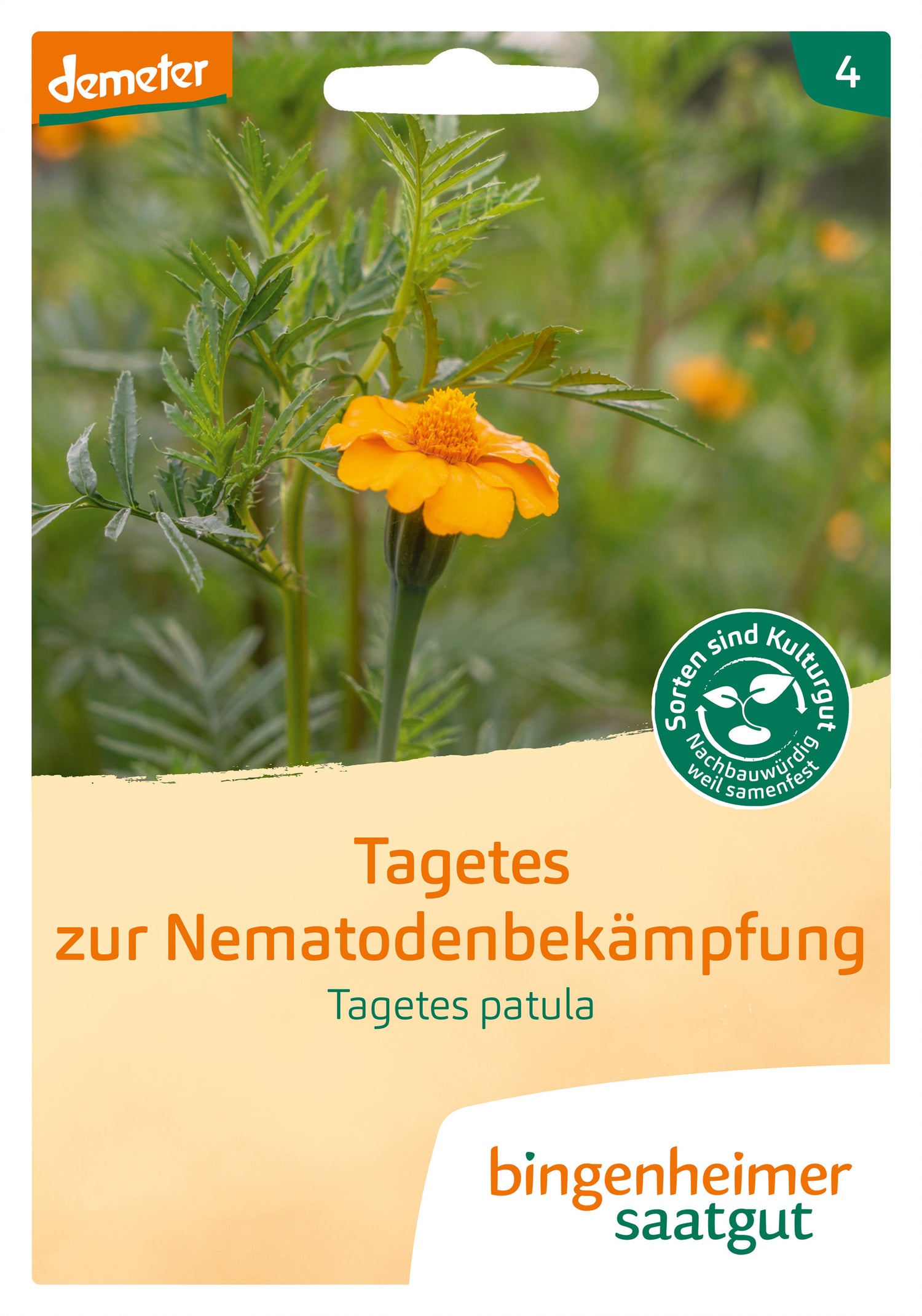 Tagetes