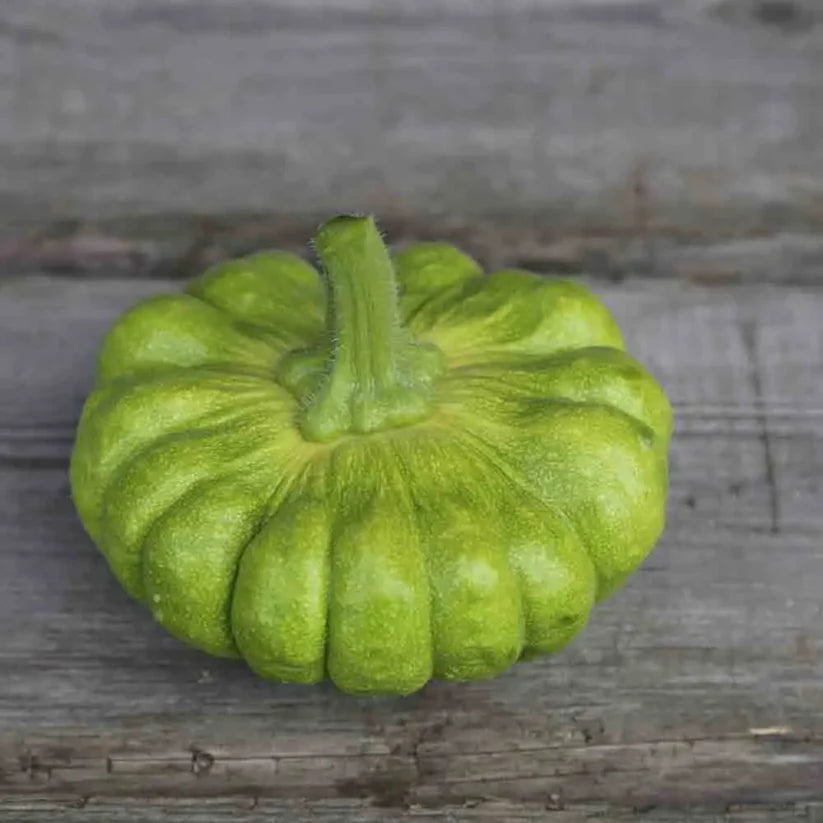 Butternusskürbis 'Yuxijiangbinggua'