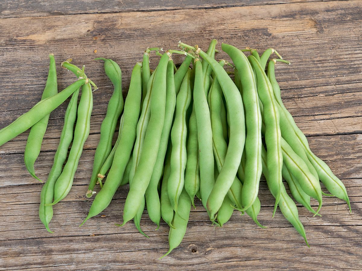 Buschbohne 'Saxa'