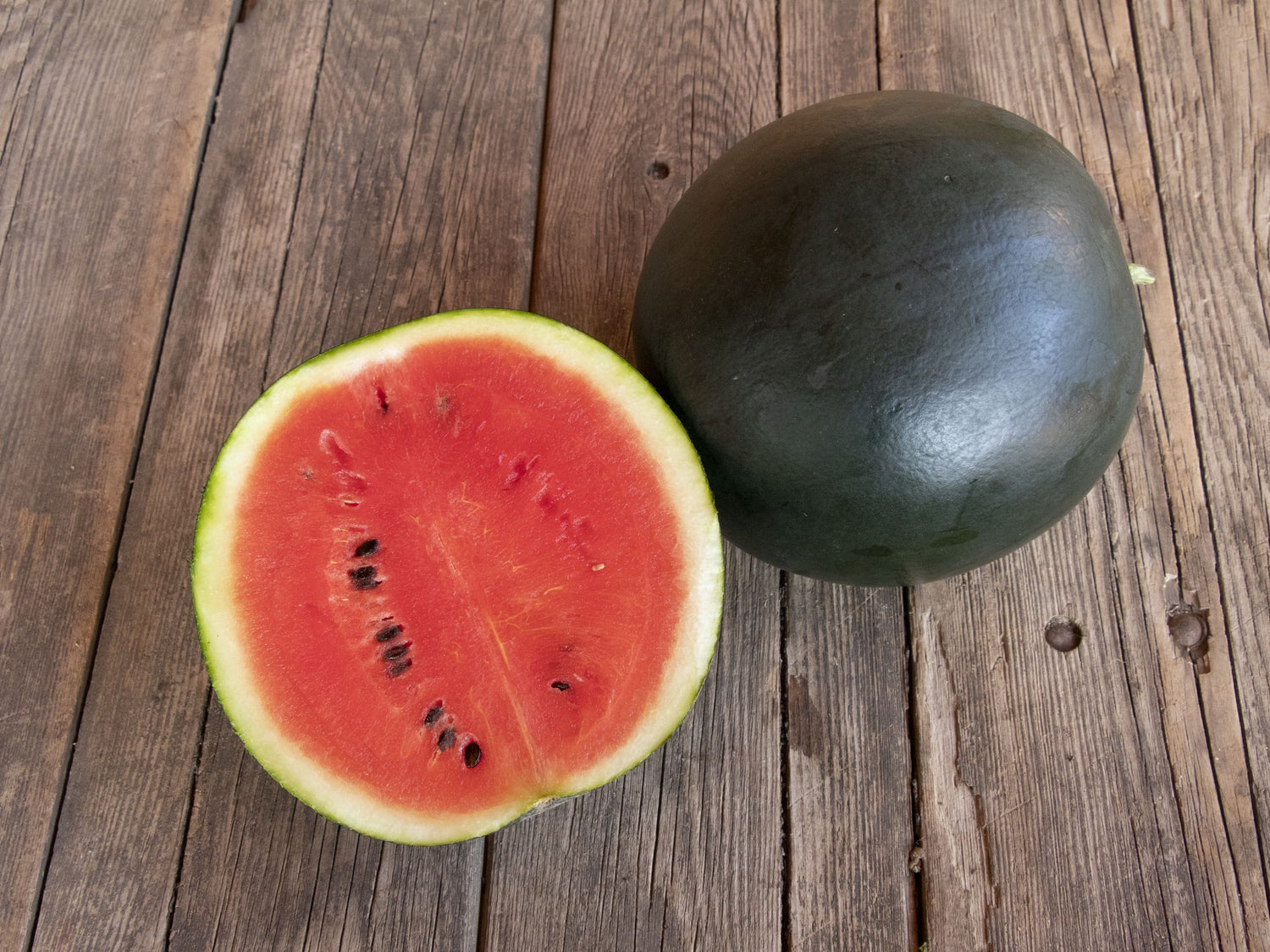 Wassermelone 'Sugar Baby'