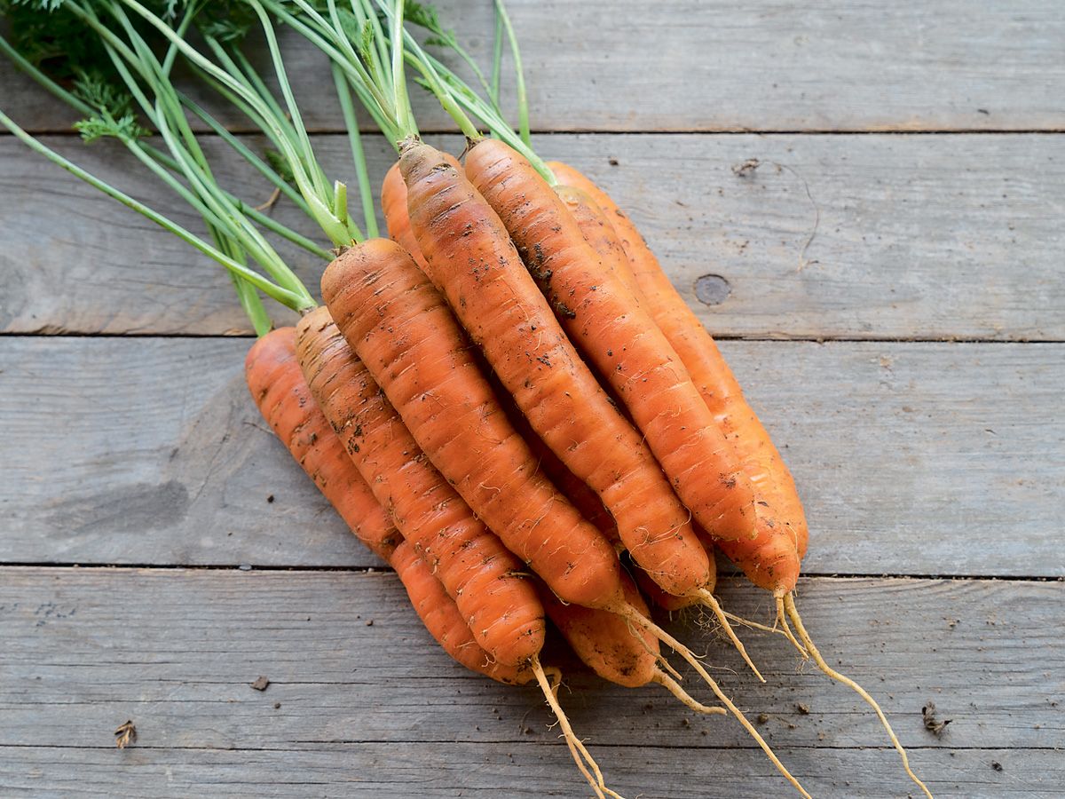 Carrot 'Milan'