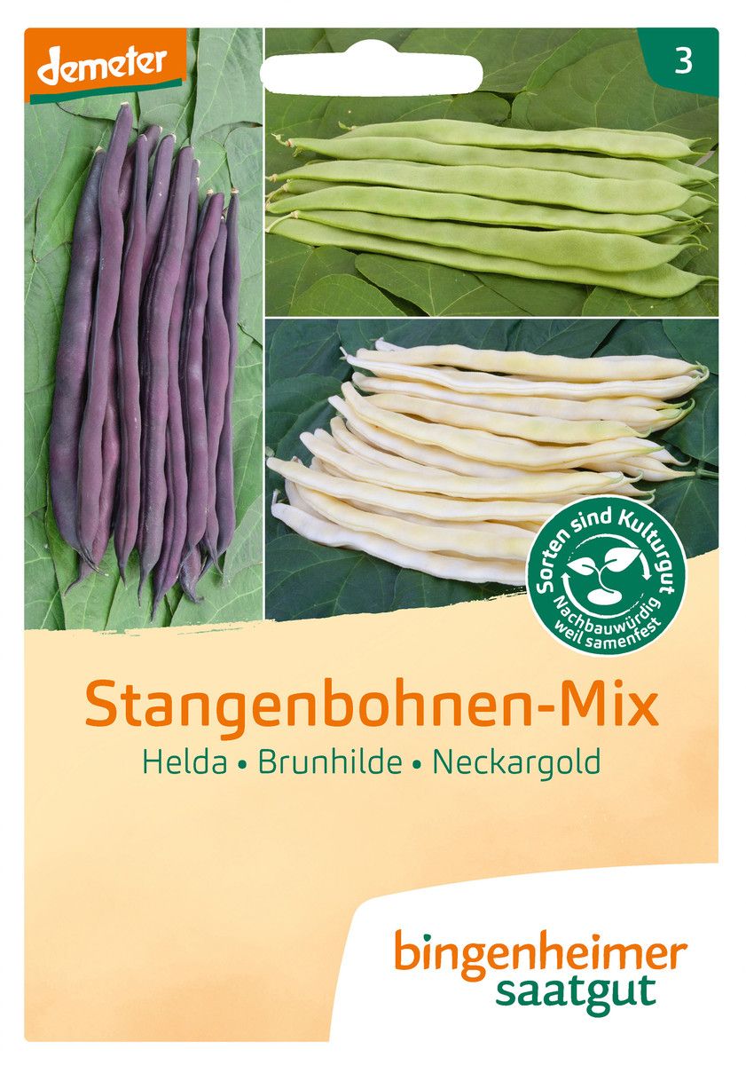 Stangenbohne 'Bunte Mischung’