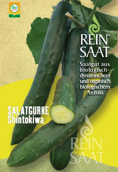 Concombre 'Shintokiwa'