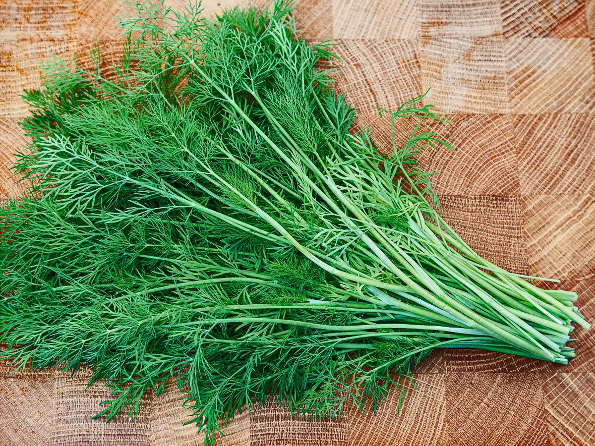 Dill 'Bob'