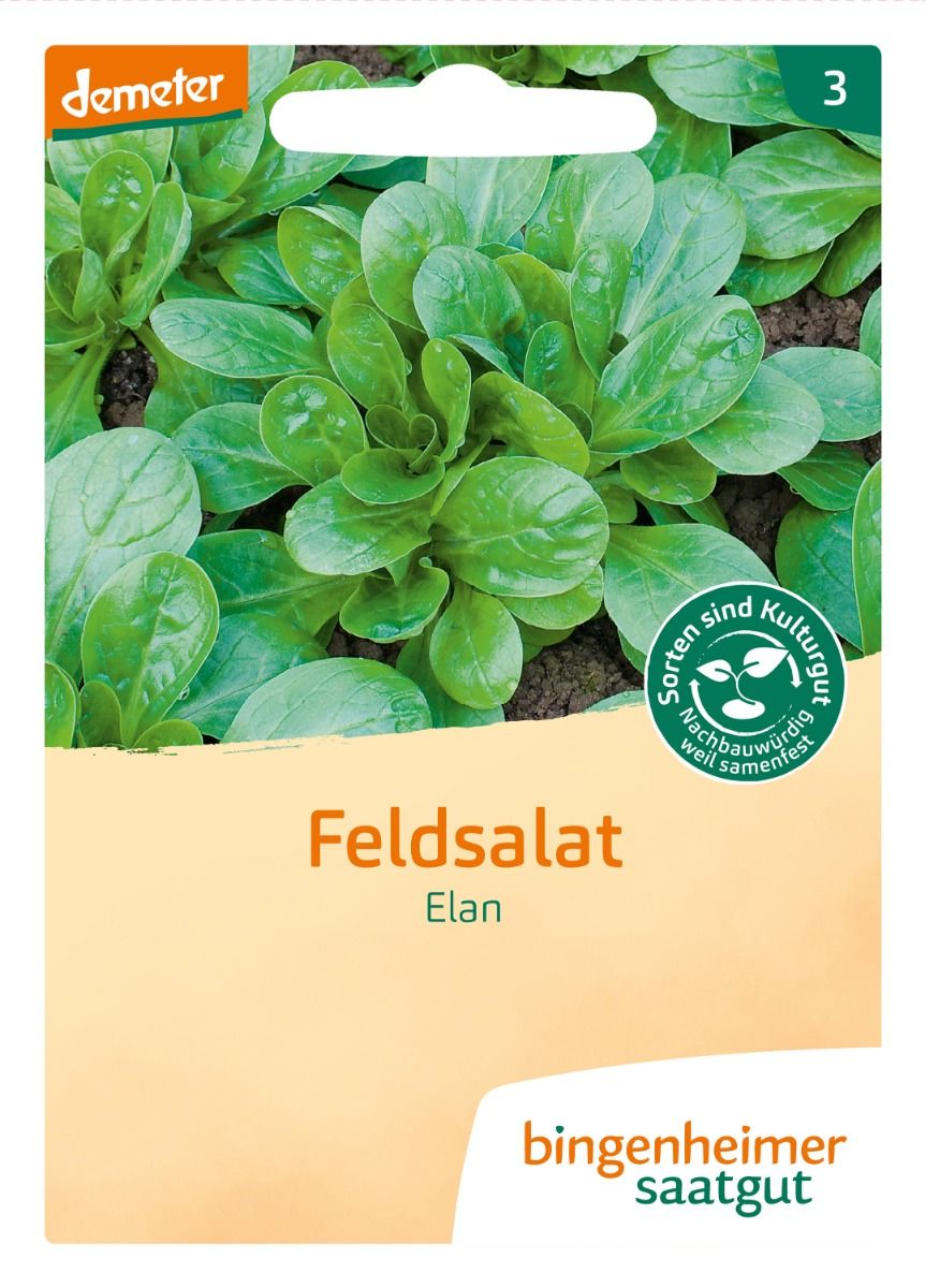 Lamb's Lettuce 'Elan'