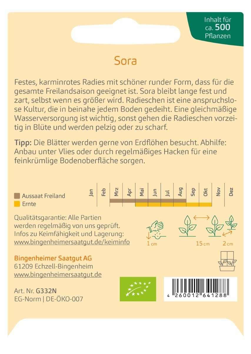 Radieschen 'Sora'
