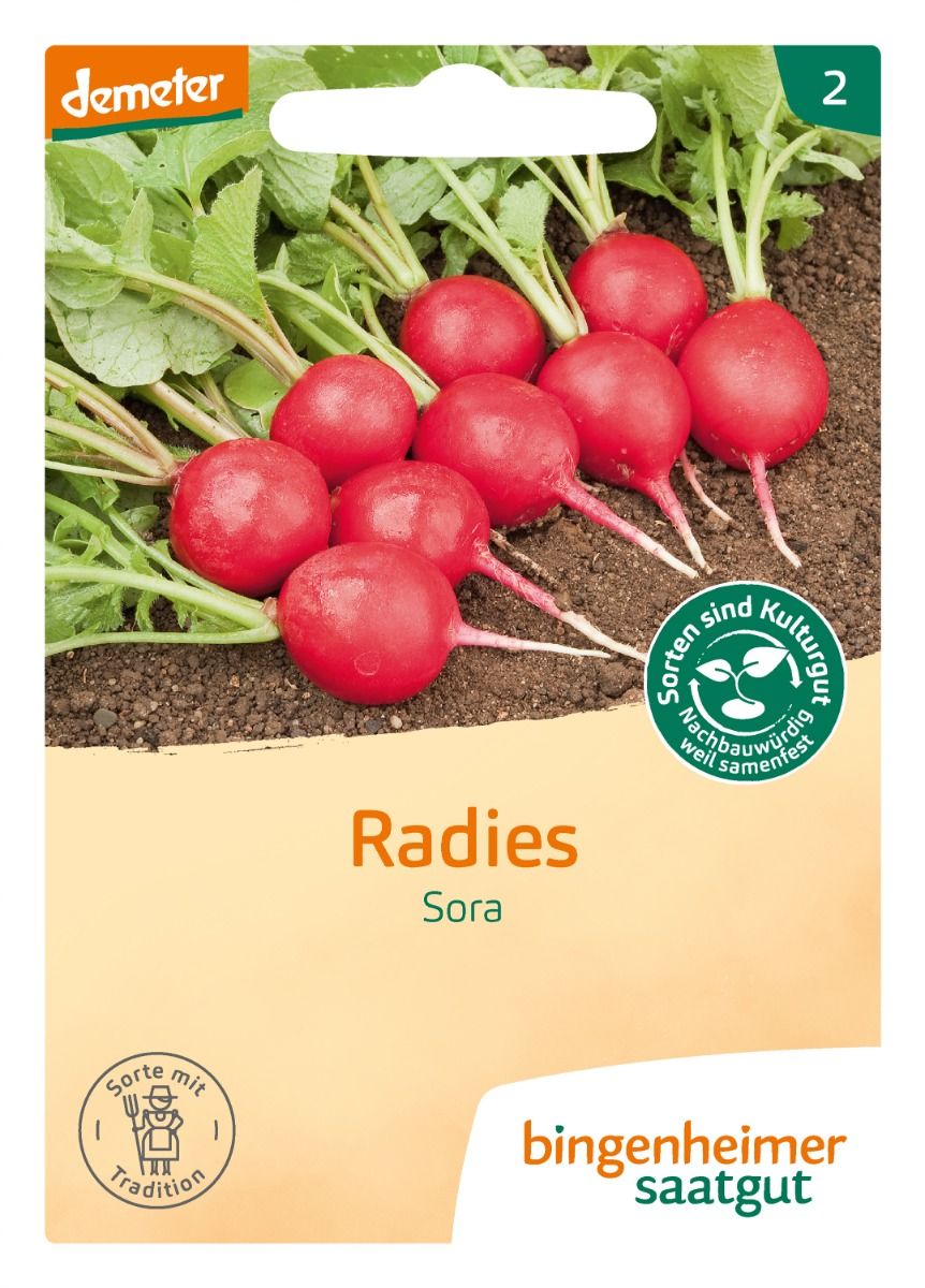 Radieschen 'Sora'