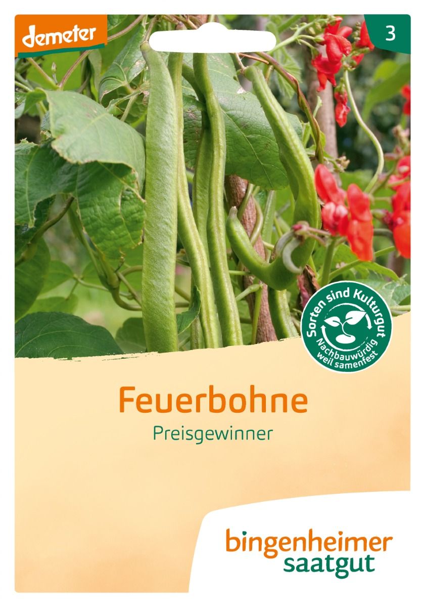 Feuerbohne 'Preisgewinner'