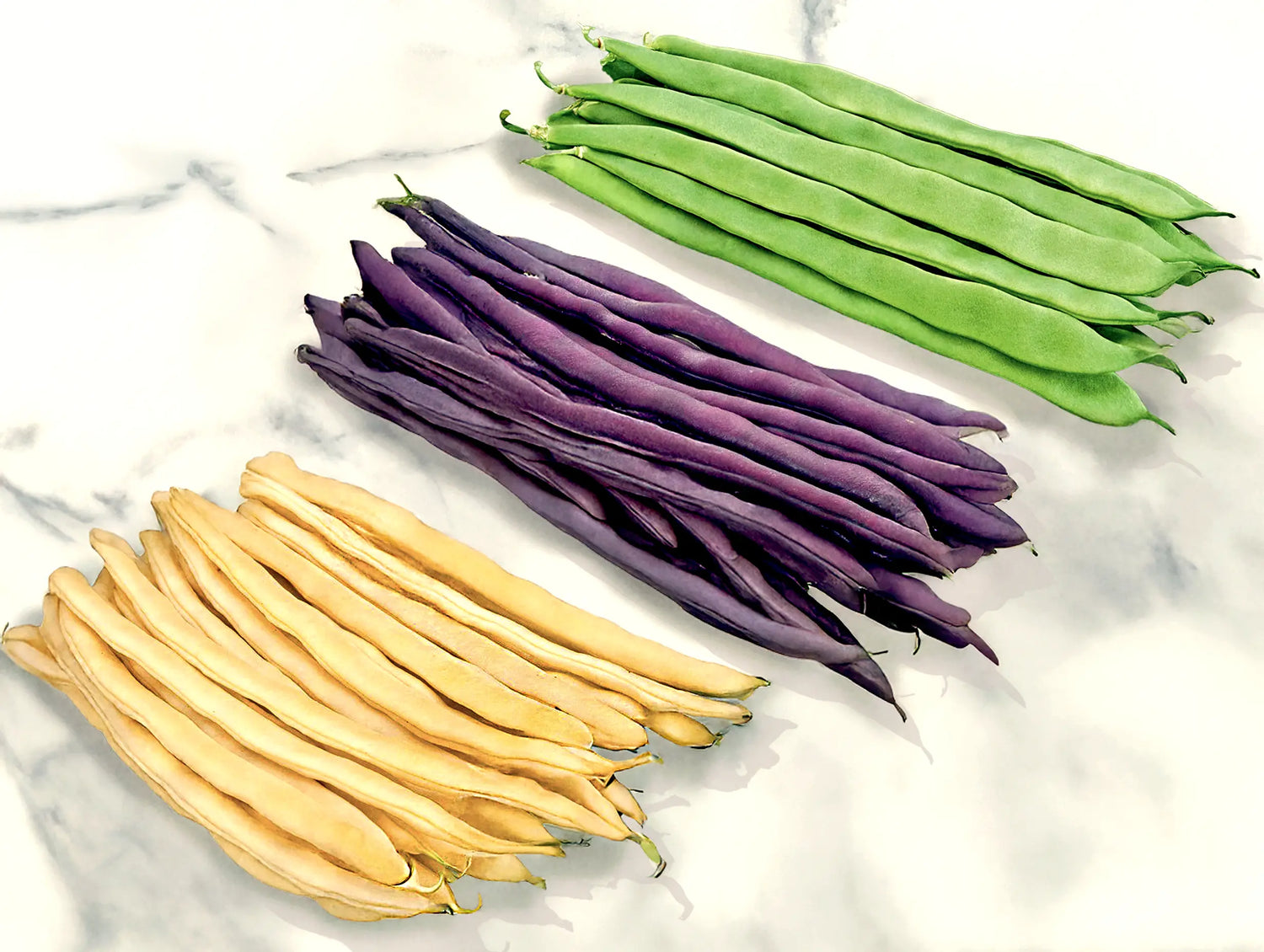 Pole Bean ‘Colourful Mix’
