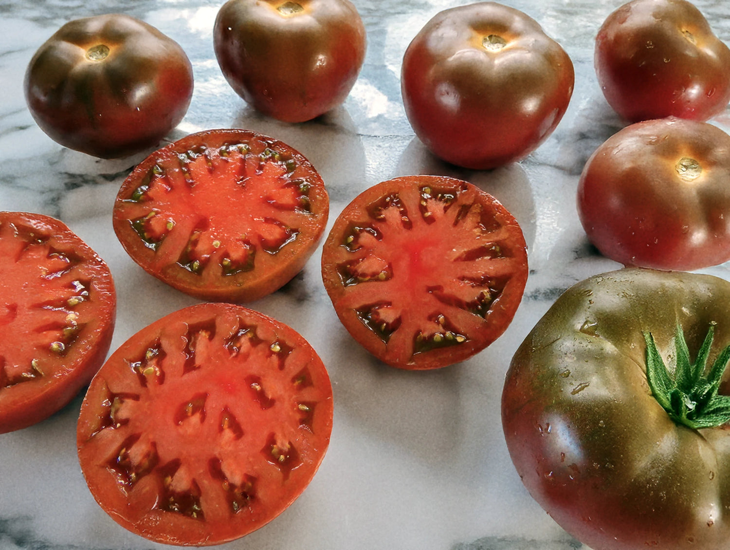 Tomate 'Black Krim'