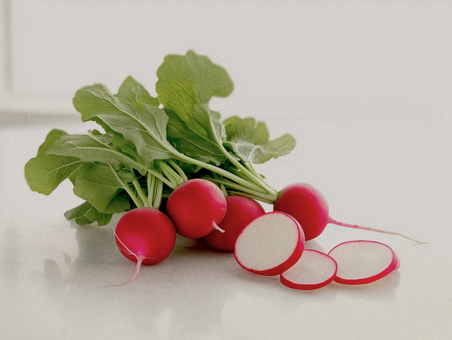Radish 'Cherry Belle'