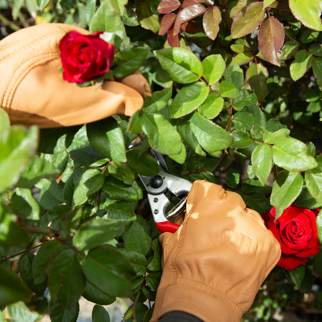 FELCO 703 Lederhandschuhe