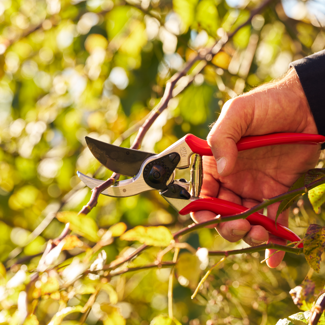 FELCO 6/2 Gartenschere (Rechtshänder)