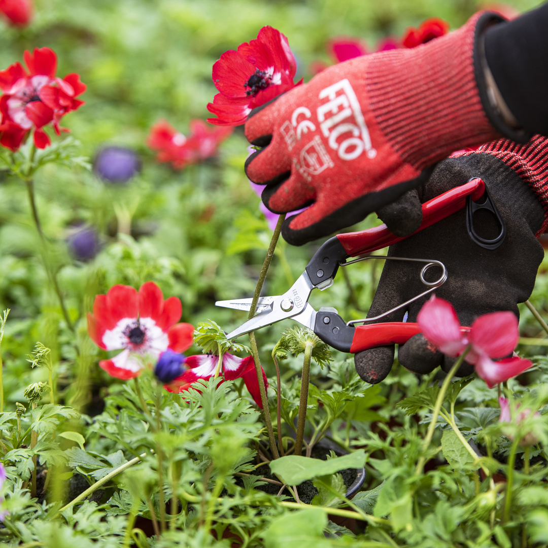 FELCO 321 Ernteschere