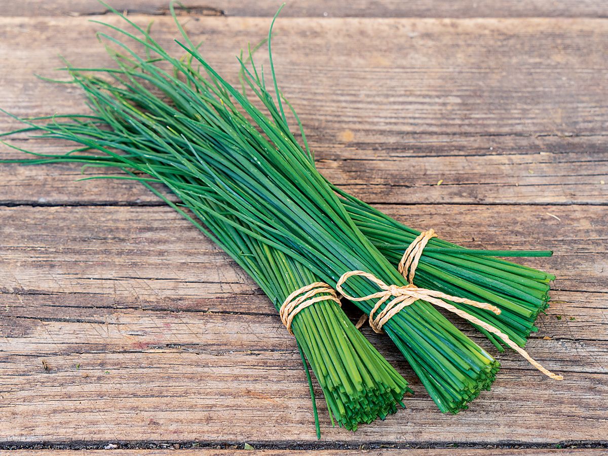 Schnittlauch 'Schmitt’
