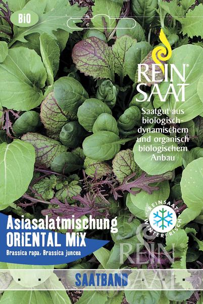 Salat 'Asiatische Mischung‘