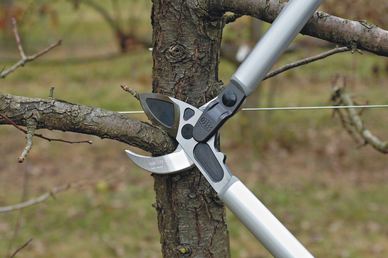 FELCO 231 Amboss-Astschere