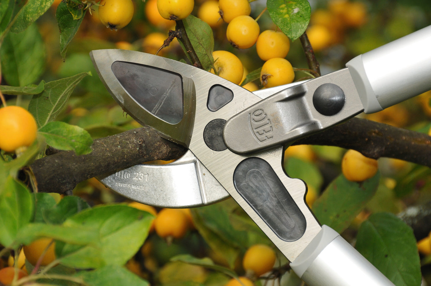 FELCO 231 Amboss-Astschere