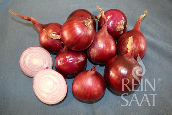 Onion ‘Grenada'