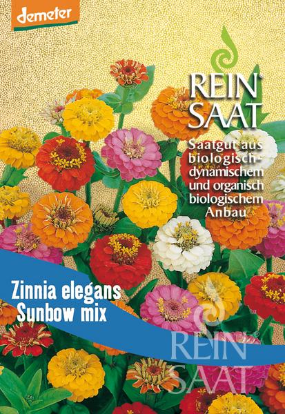 Zinnia 'Sunbow Mix'