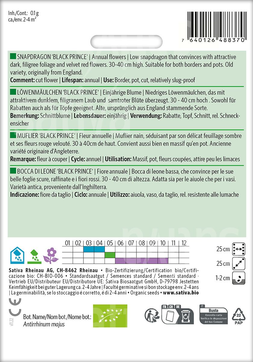 Löwenmäulchen 'Black Prince'