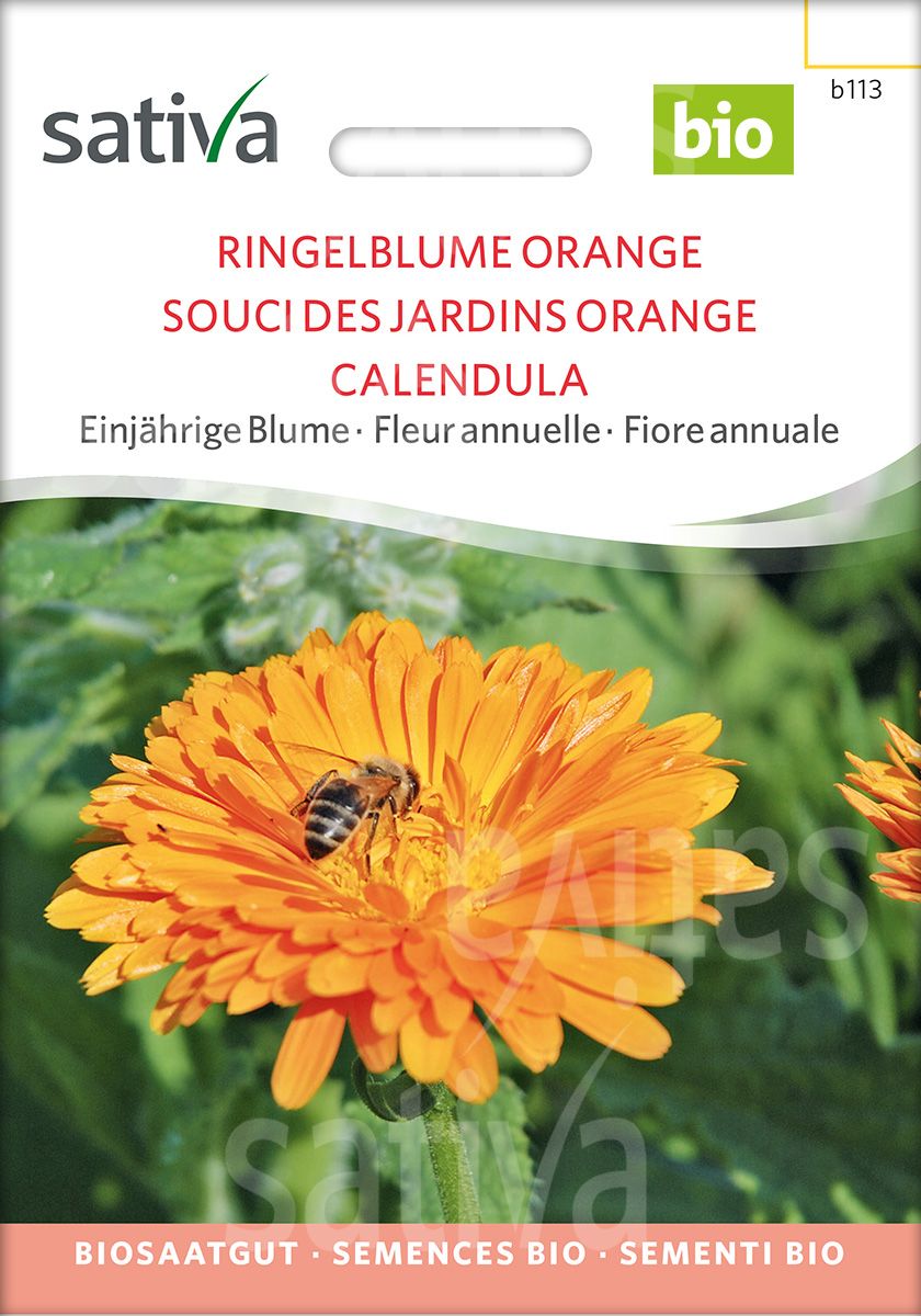 Calendula