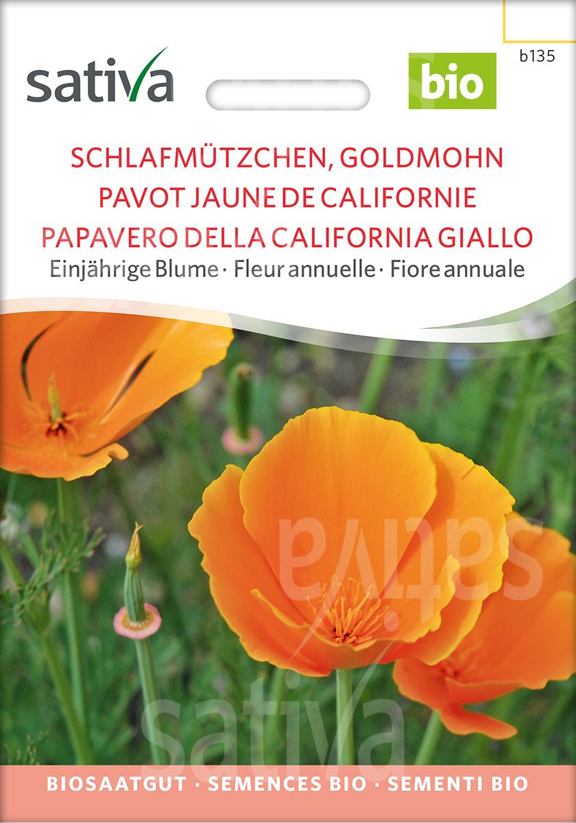 California Poppy