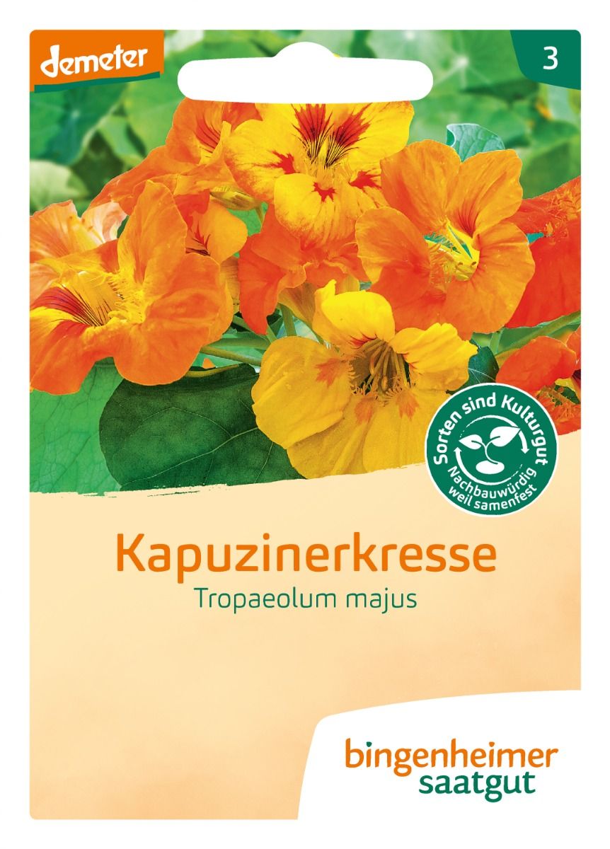 Kapuzinerkresse 'Rankend'