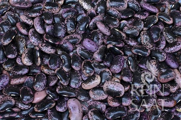 Pole Bean 'Bonela'