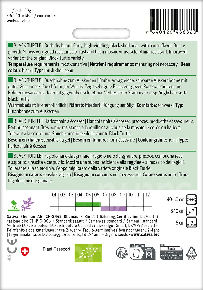 Bush Bean 'Improved Black Turtle'
