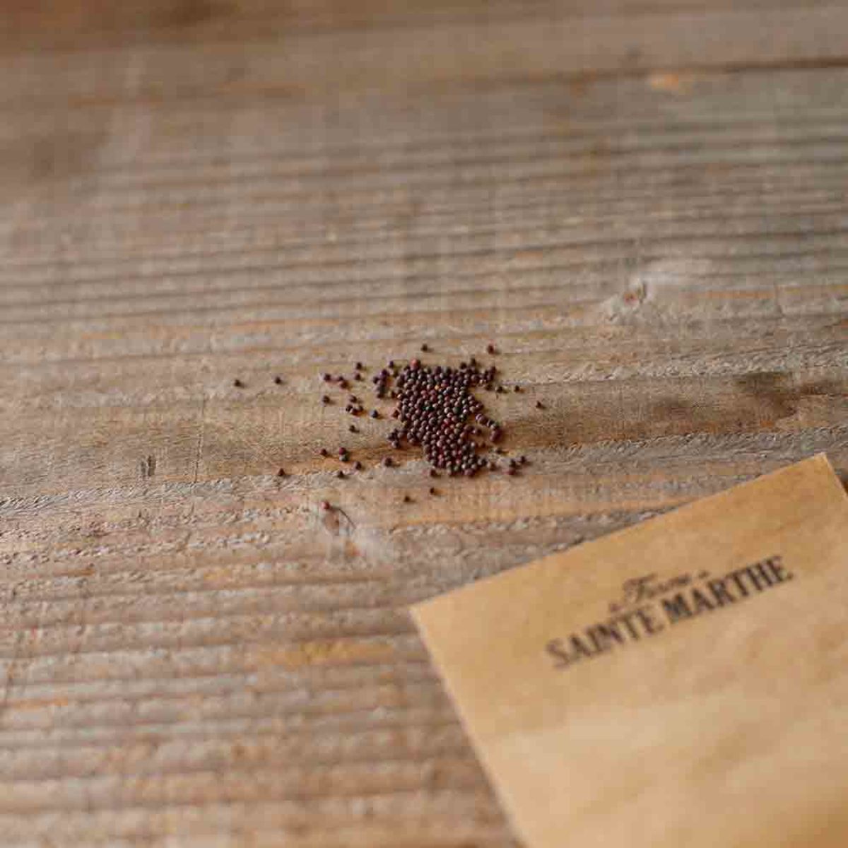 Broccoli 'Sessantina Grossa'