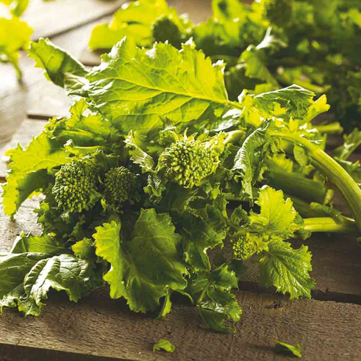 Brocoli 'Sessantina Grossa'