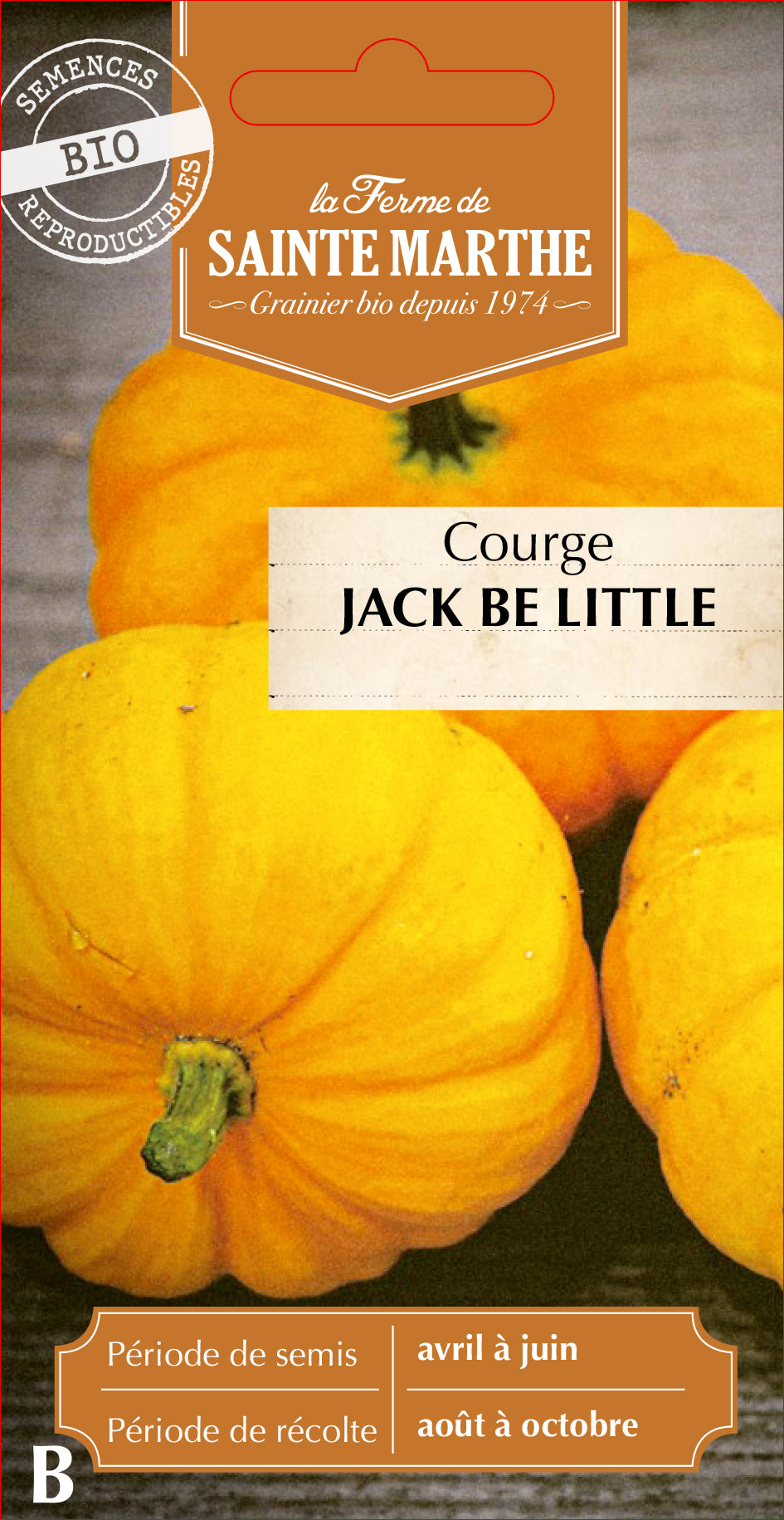 Kürbis 'Jack Be Little'