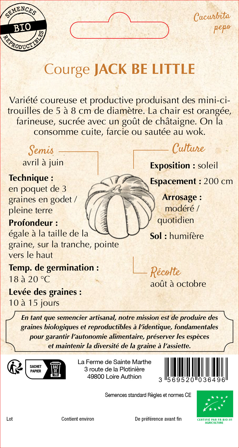 Kürbis 'Jack Be Little'