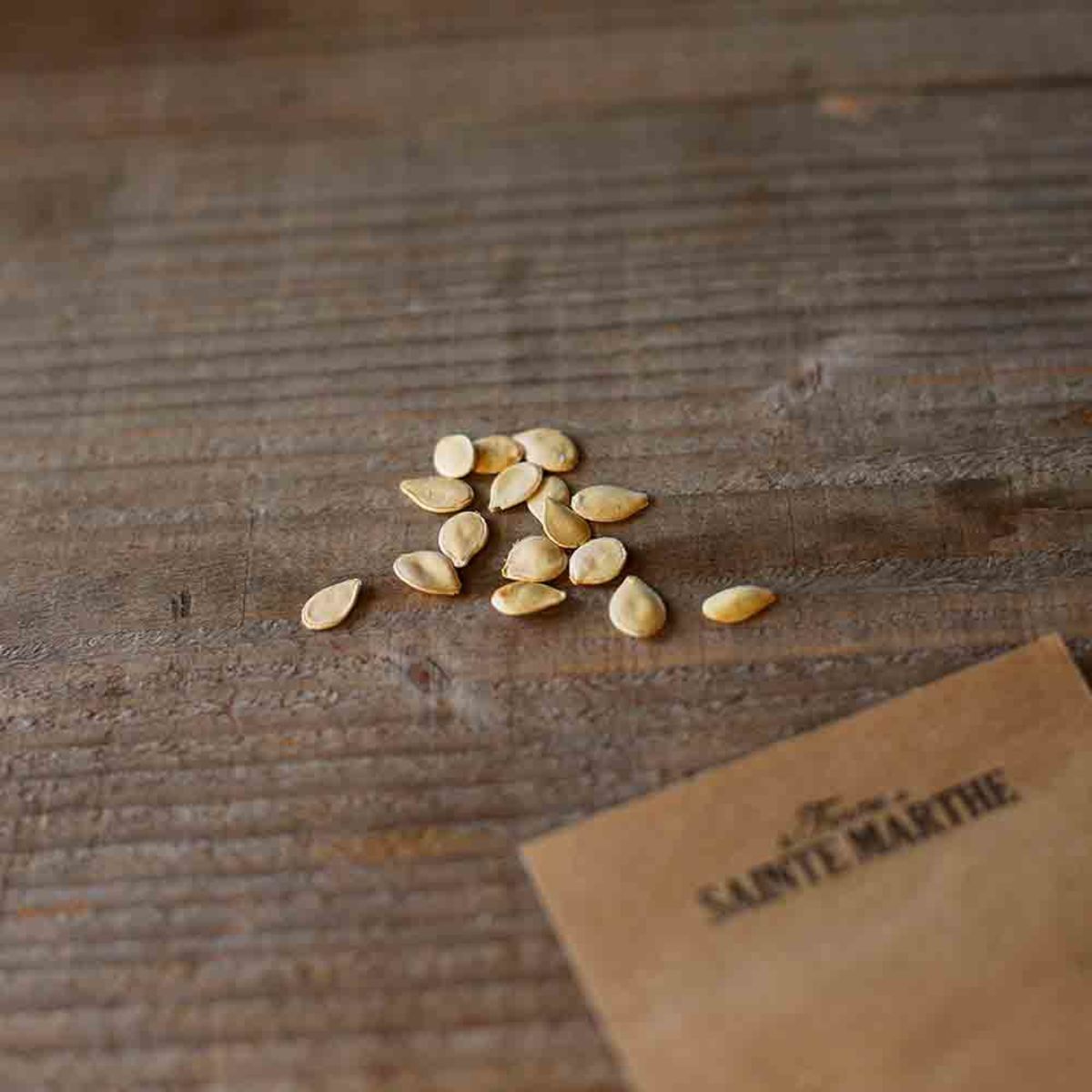 Kürbis 'Jack Be Little'