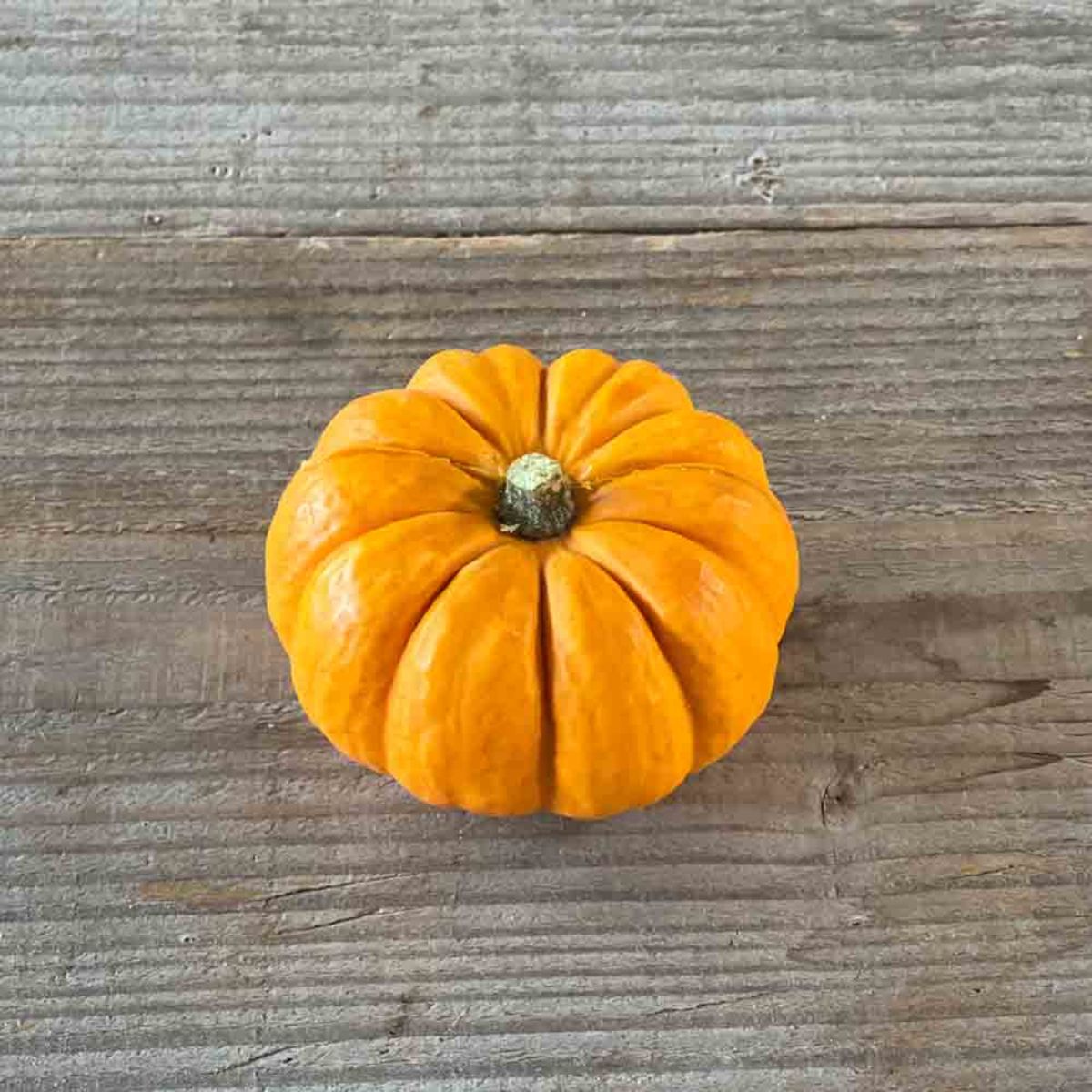 Kürbis 'Jack Be Little'