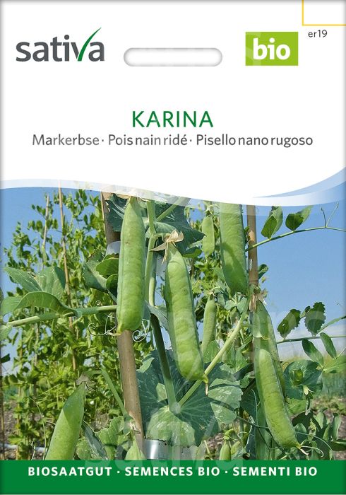Marrowfat Pea 'Karina'