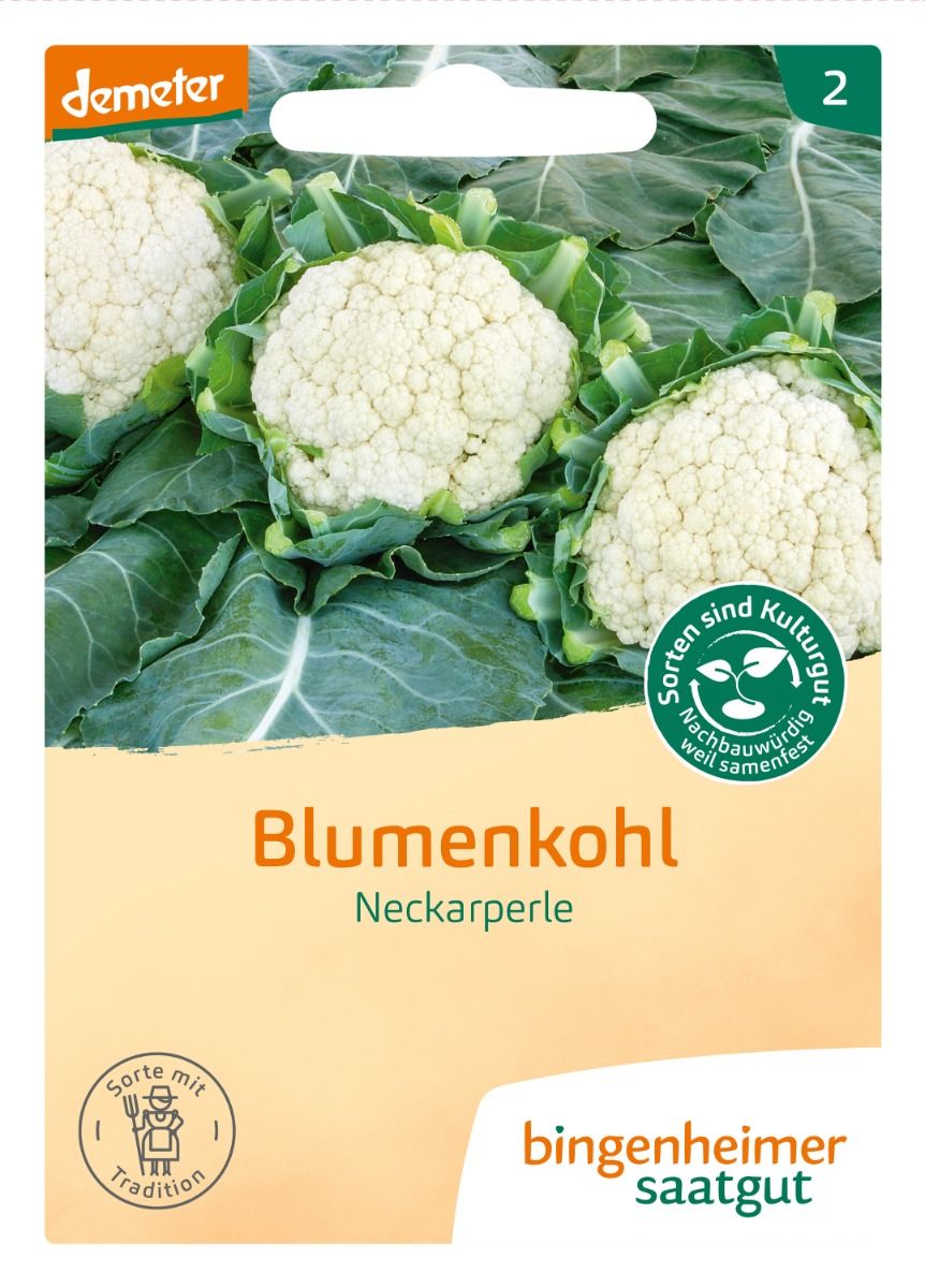 Cauliflower 'Neckarperle'