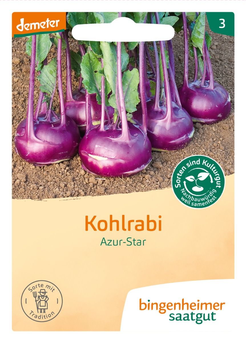 Kohlrabi 'Azur Star'