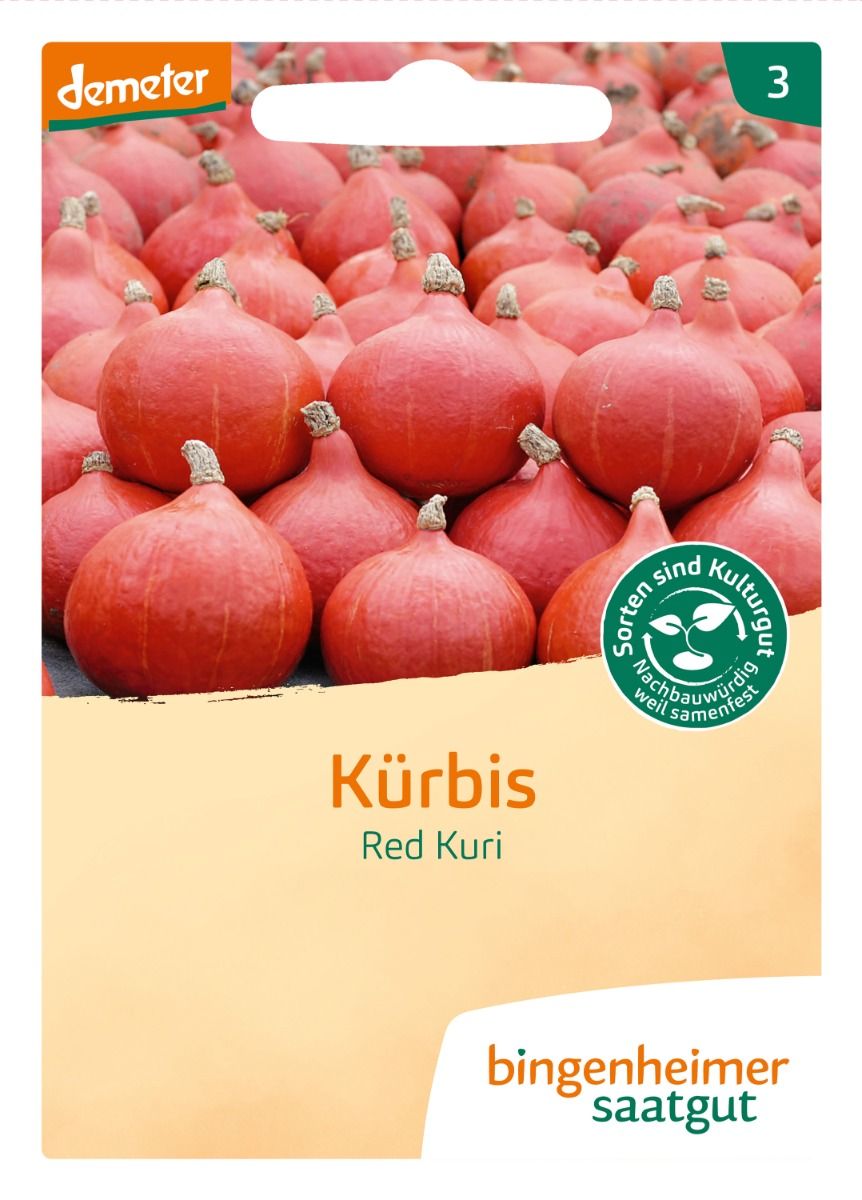 Pumpkin 'Red Kuri'