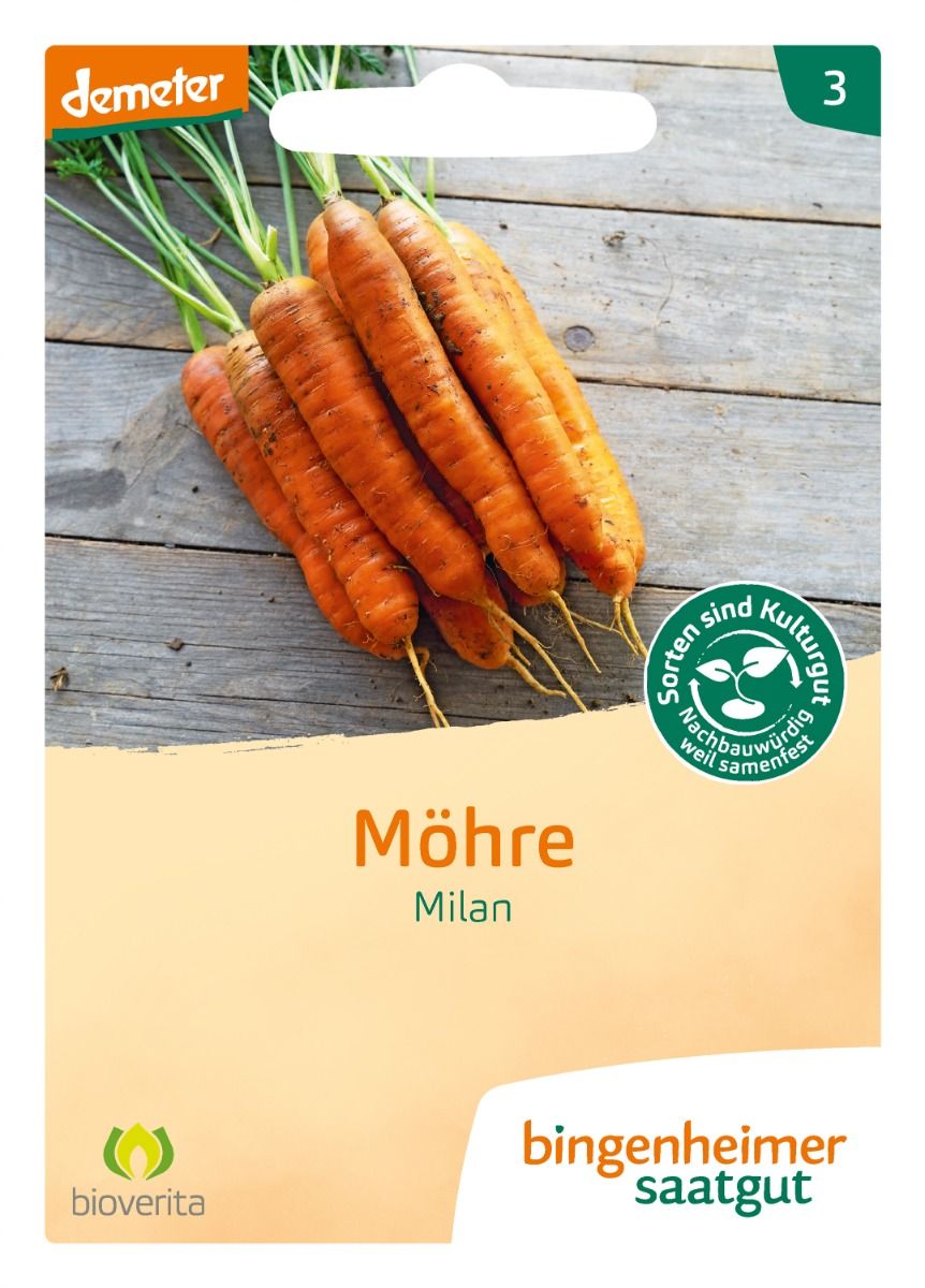Carrot 'Milan'