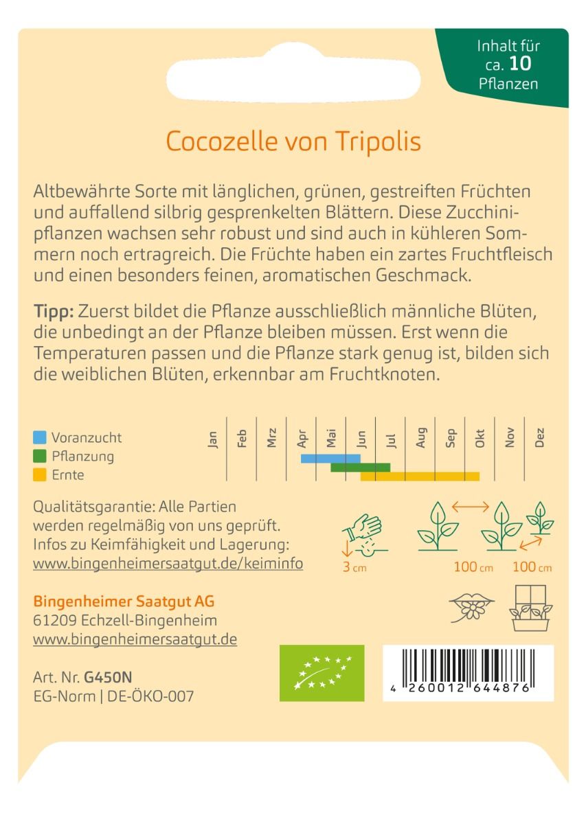 Zucchini 'Cocozelle von Tripolis'