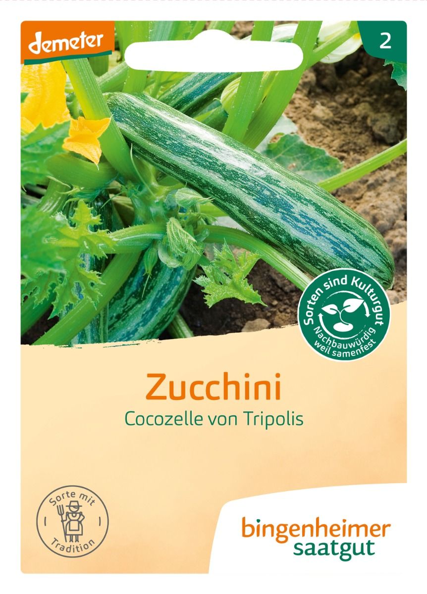 Zucchini 'Cocozelle von Tripolis'